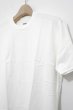 画像4: awasa (アワサ)   　2パック クルーネックTシャツ (4)